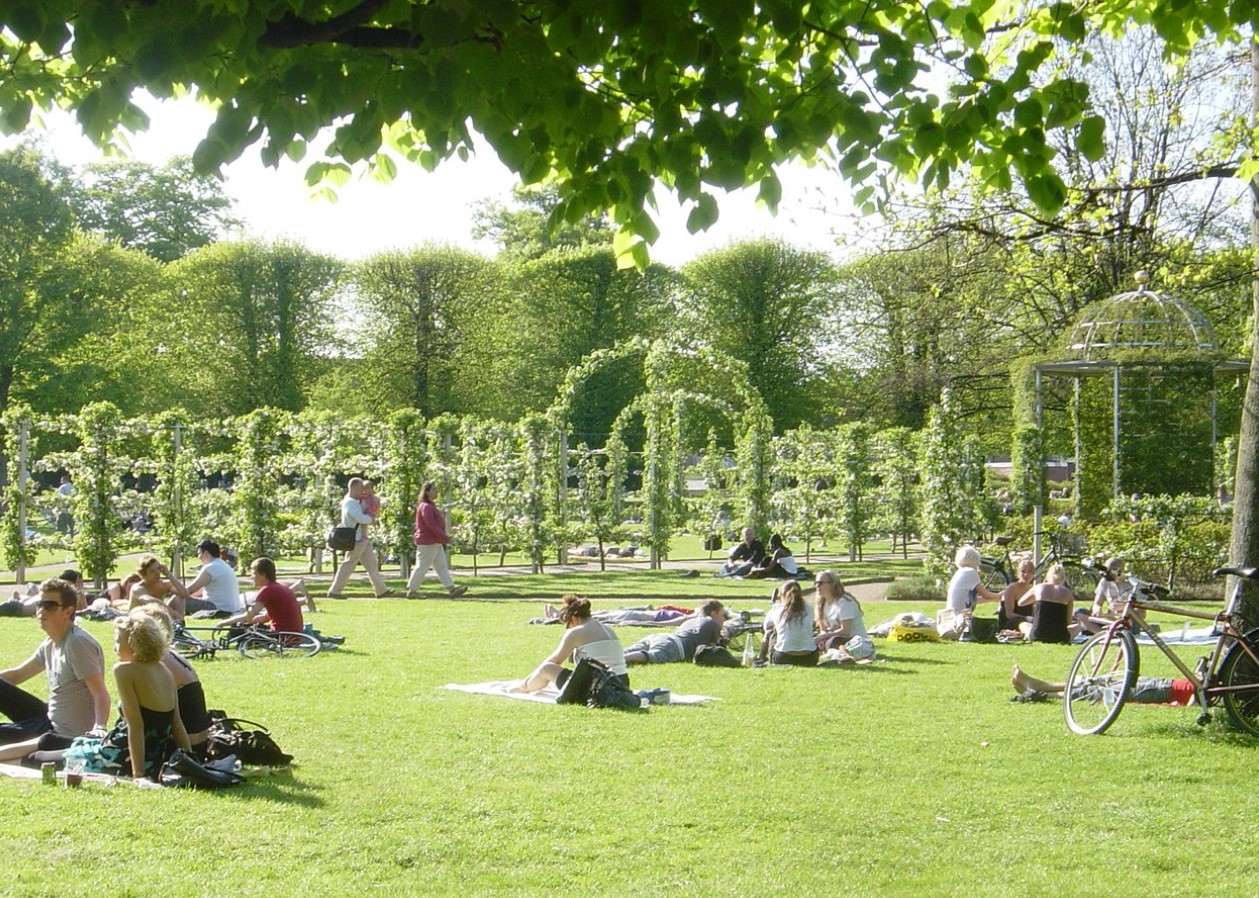 Planter vil trives under den danske hedebølge, hvis du vander dem på et bestemt tidspunkt af dagen