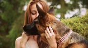 Hunde, der aldrig forråder: racer, for hvilke deres ejer er meningen med livet
