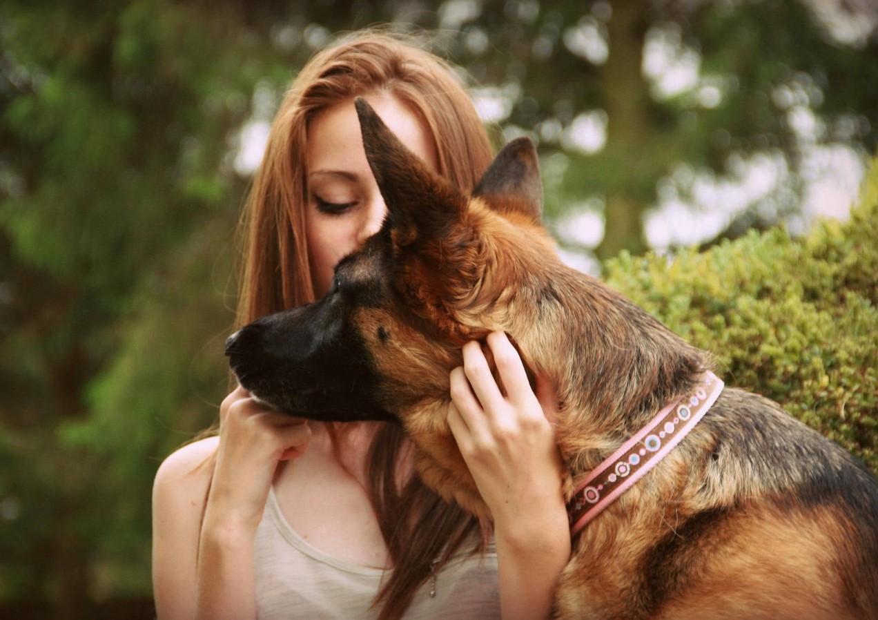 Hunde, der aldrig forråder: racer, for hvilke deres ejer er meningen med livet