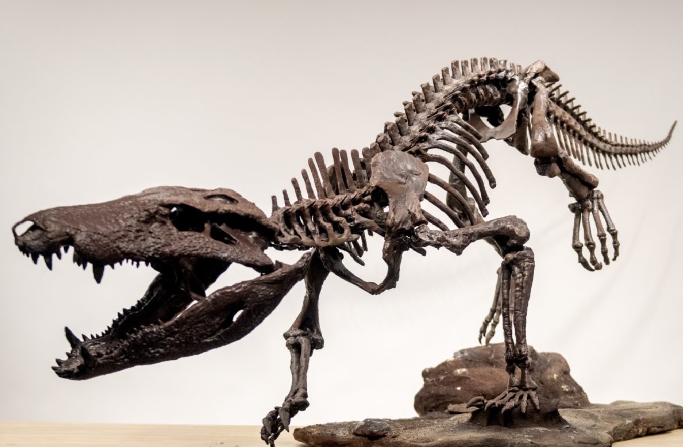 Fed på dinosaurer: 70 millioner år gammelt rovdyr opkaldt efter egyptisk gud