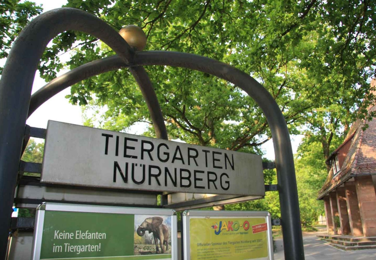 Tysk zoo dræbte 12 bavianer. Ligene blev smidt til rovdyr