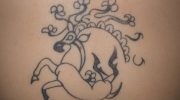 Der er fundet fantastiske tatoveringer på den 'is-mumie' fra Sibirien