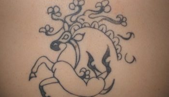 Der er fundet fantastiske tatoveringer på den 'is-mumie' fra Sibirien