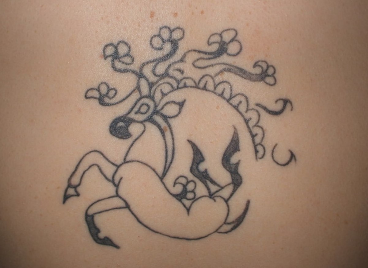 Der er fundet fantastiske tatoveringer på den 'is-mumie' fra Sibirien