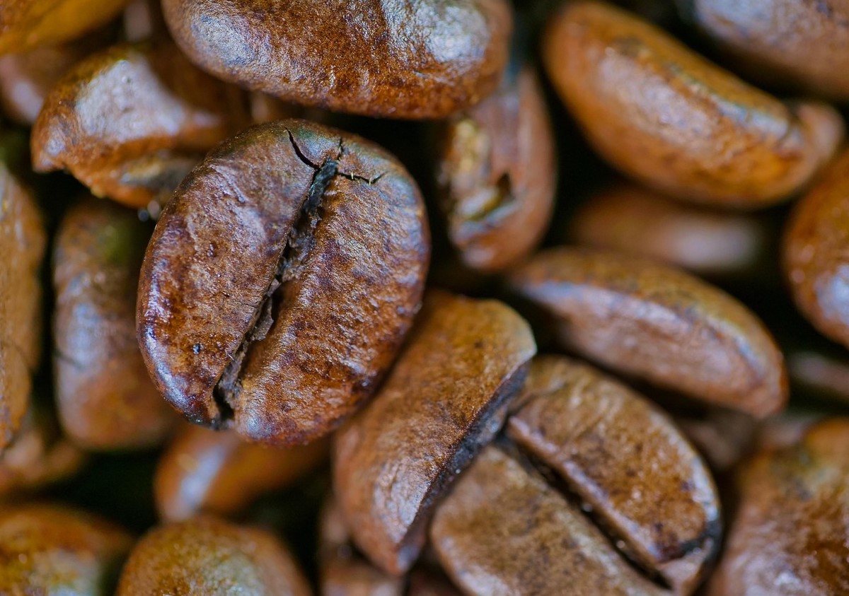 Koffein kan hjælpe E. coli med at modstå antibiotika — men der er behov for mere forskning