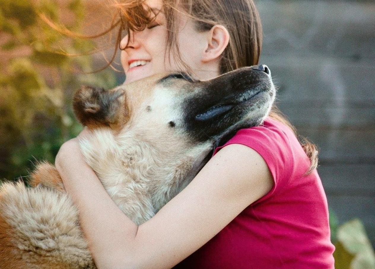 Hvis hunden snuser for nøje til dig, skal du ikke ignorere det: den fornemmer fare