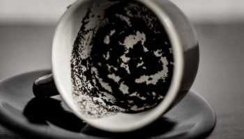 Smidder du te og kaffe ud, går du glip af hemmeligheden bag sunde stueplanter
