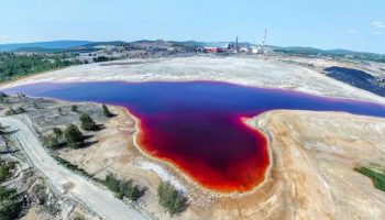 Tjernobyl-livsform har formeret sig i radioaktive søer i USA: forskere er forbløffede