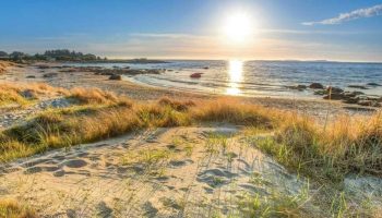 Gartnere opfordres til at hælde sand på græsplænen