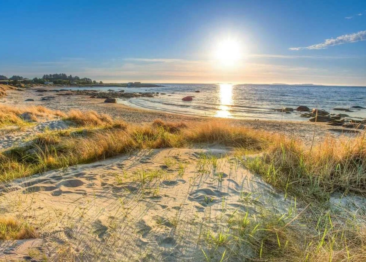 Gartnere opfordres til at hælde sand på græsplænen