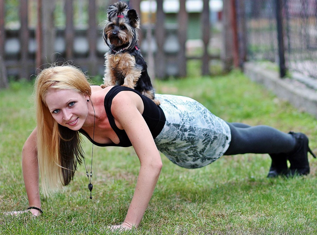 Hvorfor forsvinder yorkies: Audrey Hepburns yndlingsrace mister popularitet