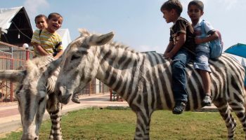 En zebra med æselører: Kinesisk markedsføring er blevet en global joke