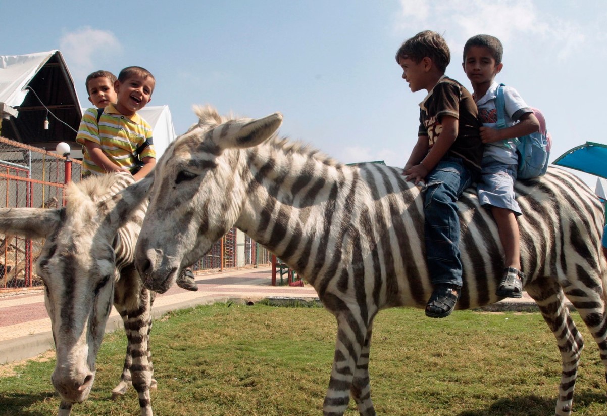 En zebra med æselører: Kinesisk markedsføring er blevet en global joke