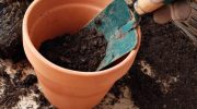 Brugt jord kommer til live igen og giver dine planter en ny chance