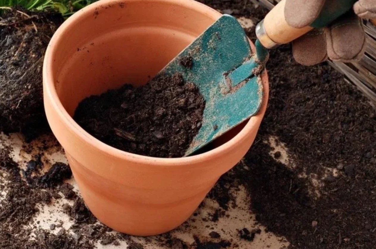 Brugt jord kommer til live igen og giver dine planter en ny chance