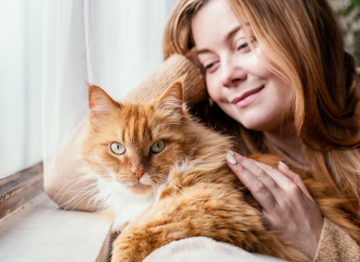 Jeg elsker dem, men jeg vil ikke anskaffe mig en: tre hovedårsager til, at folk nægter at have katte, selvom de elsker dem