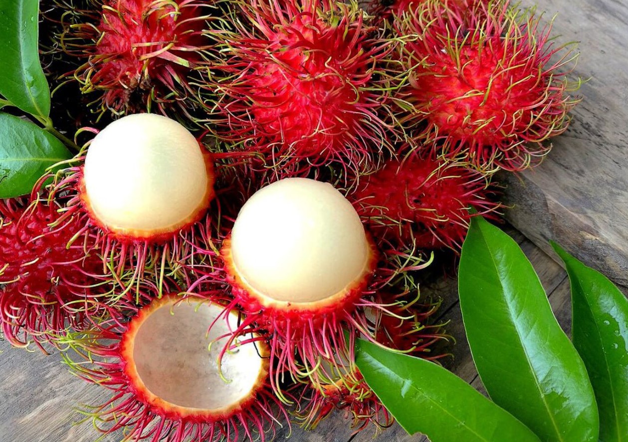 Rambutan: den røde »søpindsvin« fra Sydøstasien