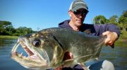 Piranhaer er bare en let snack for den: en meterlang vampyrfisk forvandler floden til en arena af gammel rædsel