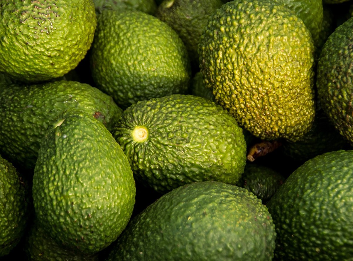 Smid ikke avocadoskaller væk. Bland dem med en billig ingrediens for at lave en fremragende gødning.