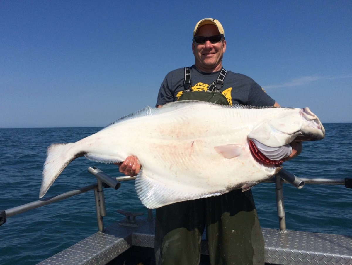 Fisk eller havmonster: hvad lægger du egentlig på din tallerken under dække af hellefisk?