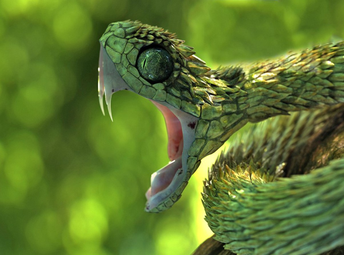 Den samme stikkende slange fra memes