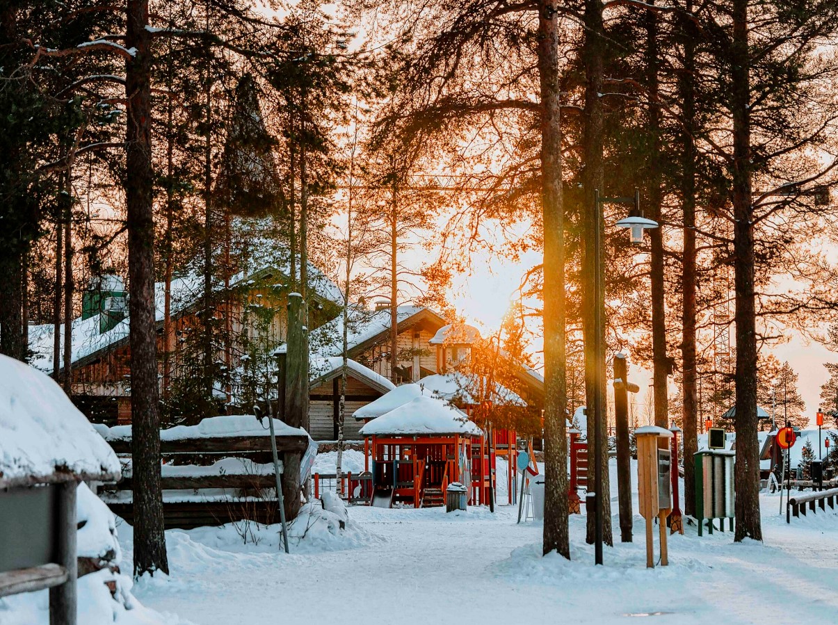 Guld vokser bogstaveligt talt på juletræer i Lapland