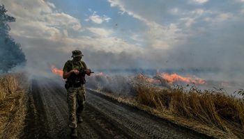 Hvordan krigen har påvirket vilde fugle i Ukraine: videnskabsmand giver chokerende svar