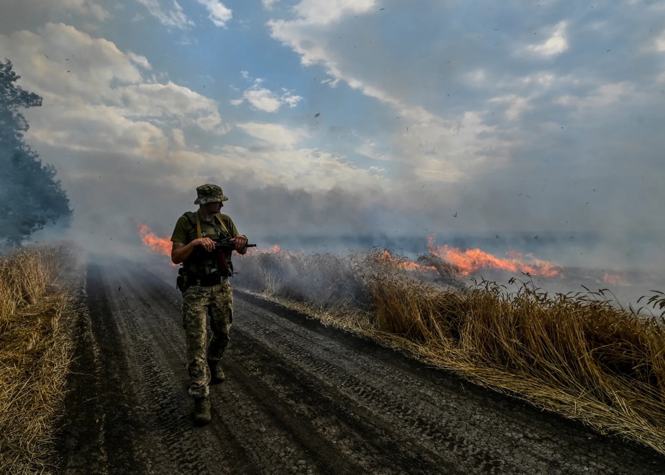 Hvordan krigen har påvirket vilde fugle i Ukraine: videnskabsmand giver chokerende svar