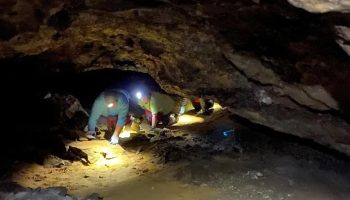 Fortidens hemmelige dybder: hajer, der er 100 millioner år ældre end dinosaurer, fundet i USA