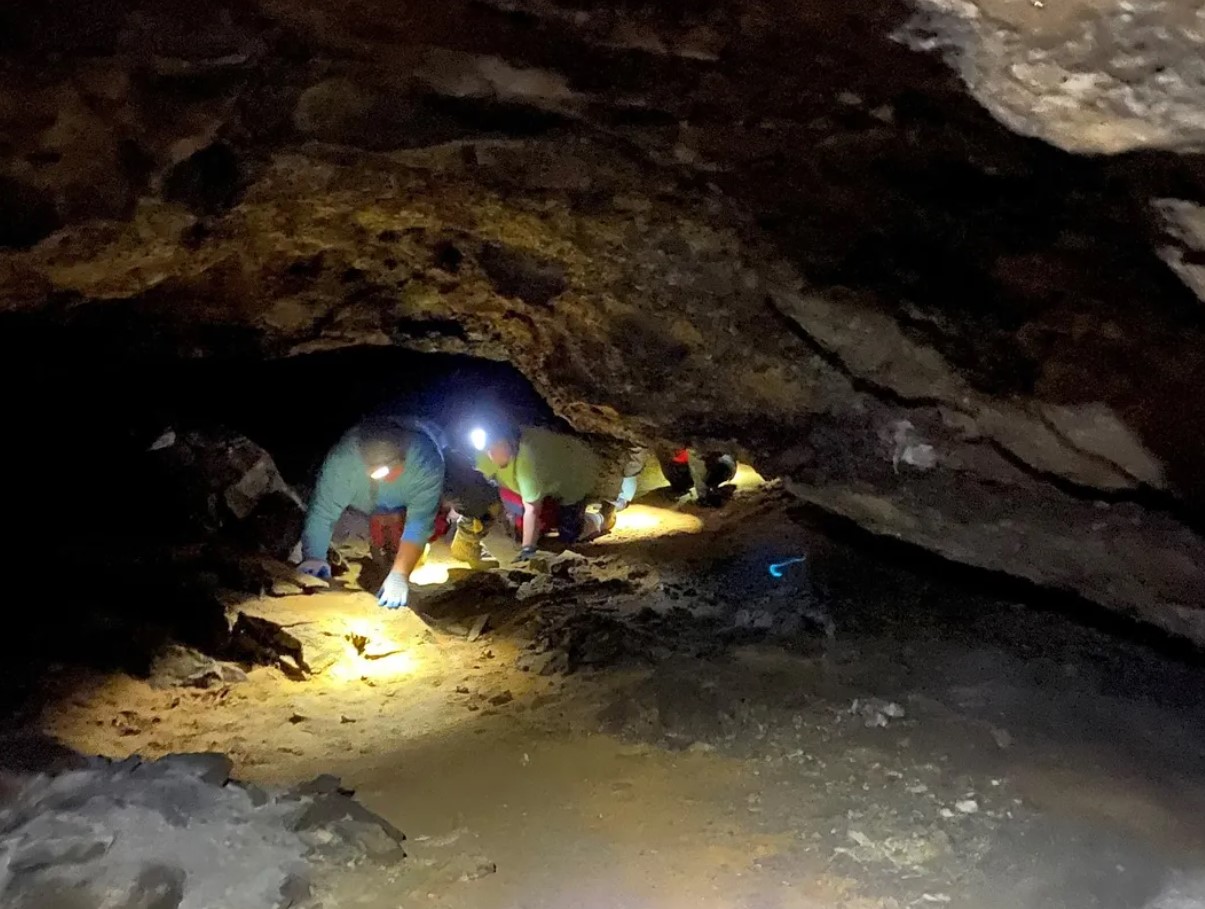 Fortidens hemmelige dybder: hajer, der er 100 millioner år ældre end dinosaurer, fundet i USA