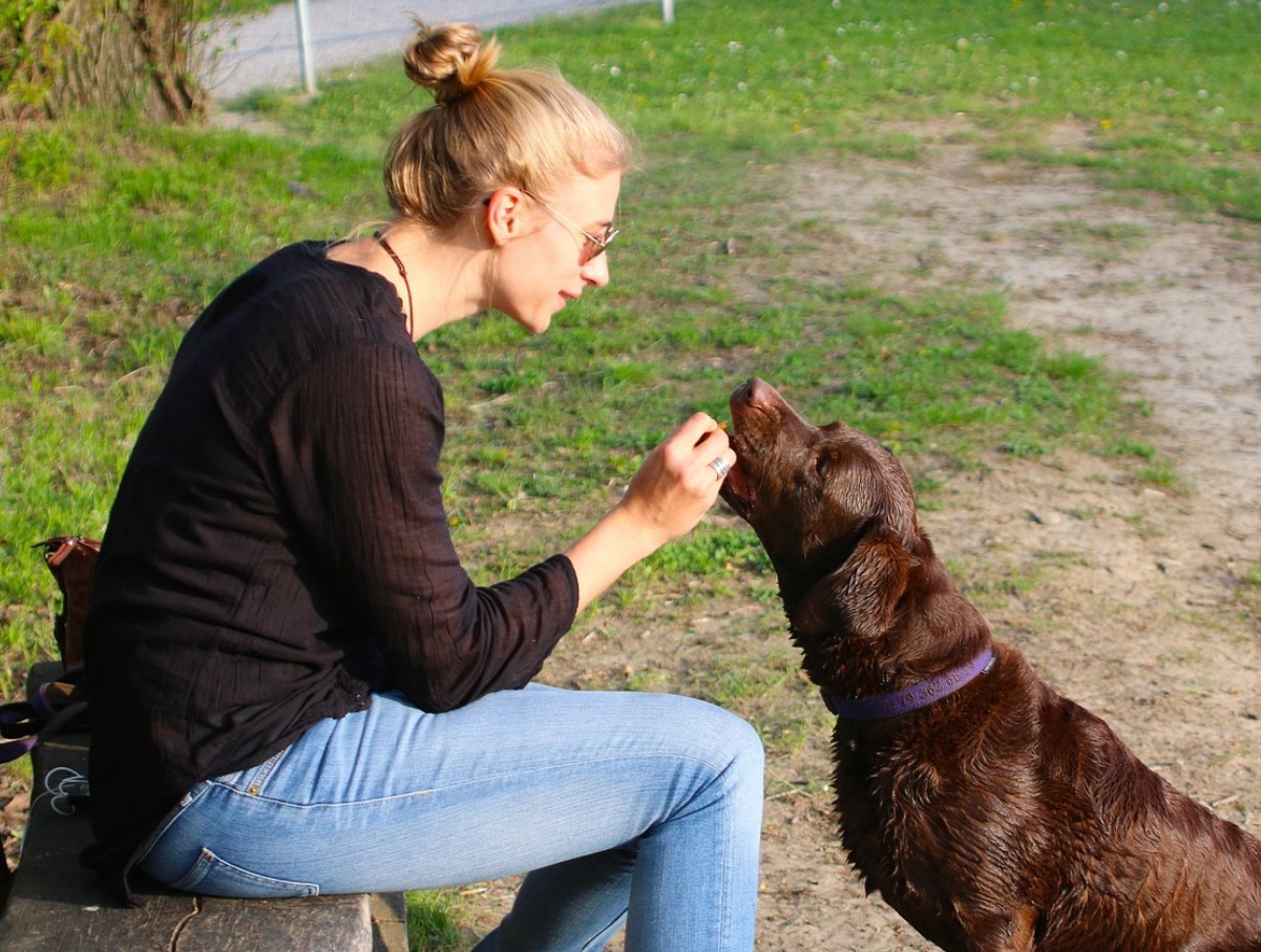 Hvad førstegangsejere af hvalpe bør vide, ifølge hundeeksperter