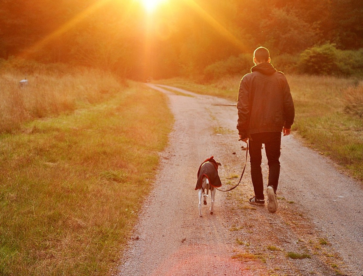 Hvad førstegangsejere af hvalpe bør vide, ifølge hundeeksperter