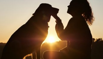 Hvad førstegangsejere af hvalpe bør vide, ifølge hundeeksperter