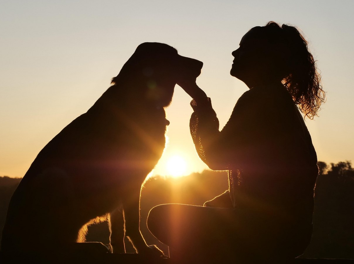 Hvad førstegangsejere af hvalpe bør vide, ifølge hundeeksperter