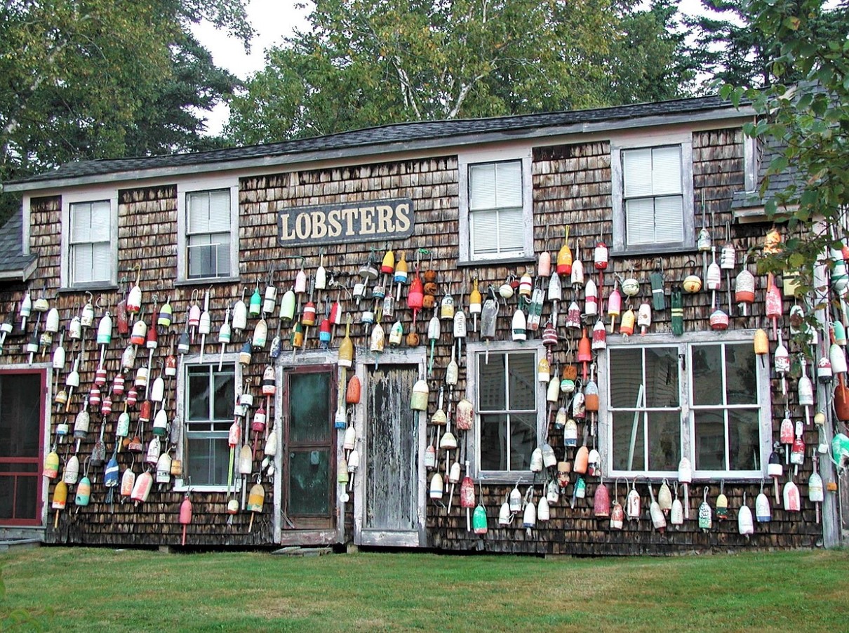 Hummer koges levende: klimaforandringerne ændrer menuen, og denne gang er det ikke mennesker, der fungerer som kokke.