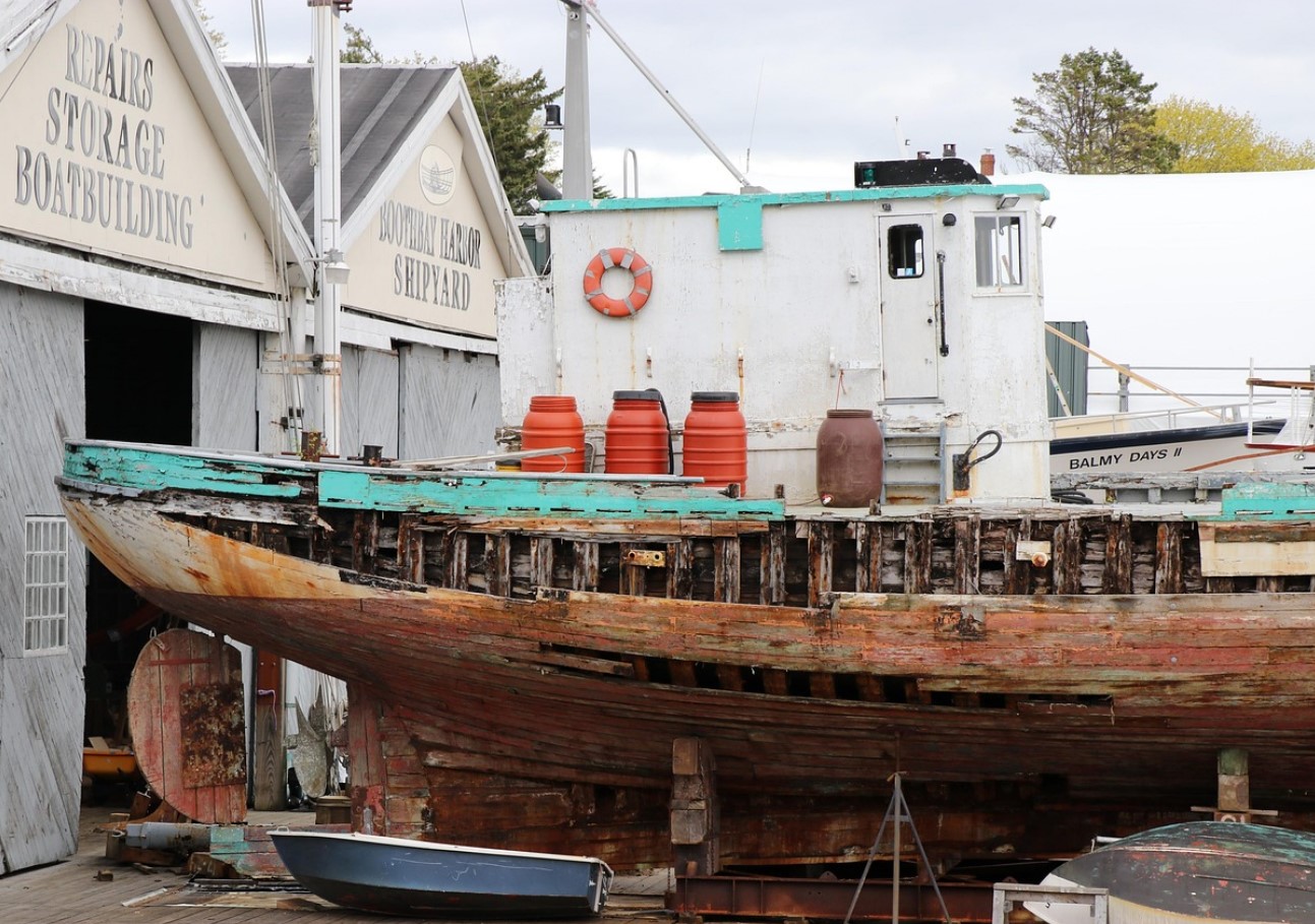 Hummer koges levende: klimaforandringerne ændrer menuen, og denne gang er det ikke mennesker, der fungerer som kokke.