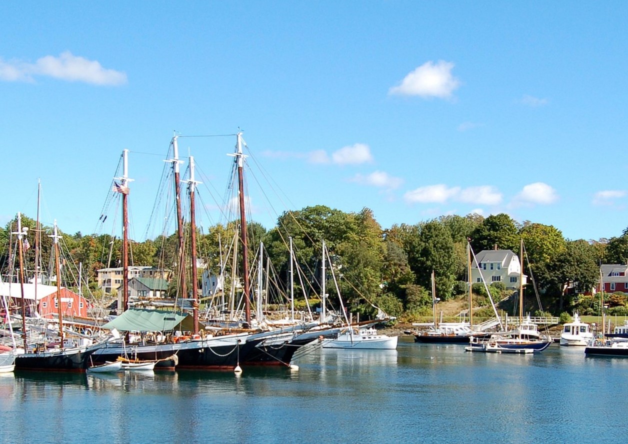 Hummer koges levende: klimaforandringerne ændrer menuen, og denne gang er det ikke mennesker, der fungerer som kokke.