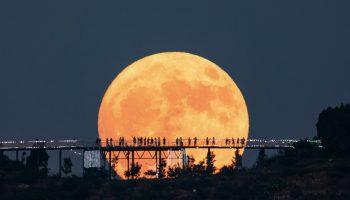 Årets største måne vil være synlig i morgen aften