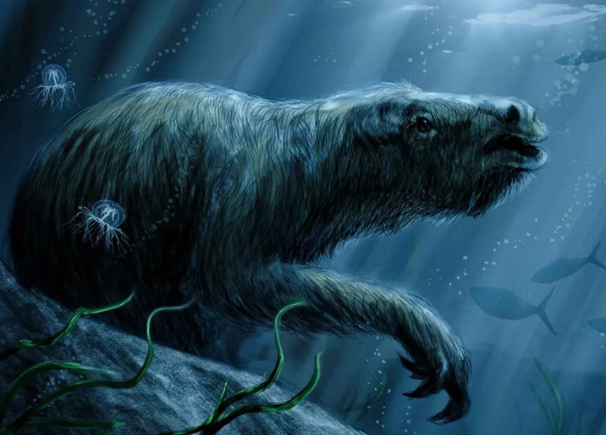 Et usædvanligt havdyr: thalassocnus